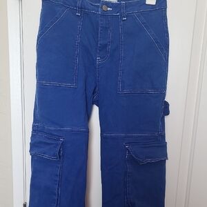 Rue21 Vibrant Blue Cargo Pants